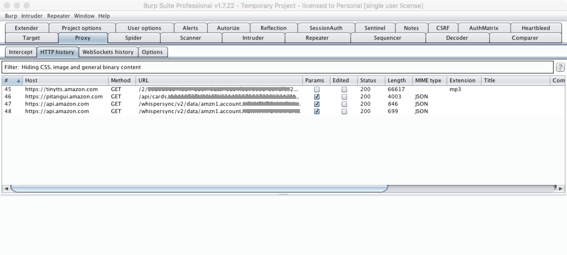 echo traffic through burp